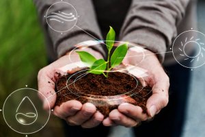 GESTÃO DO AGRONEGÓCIO E LEGISLAÇÃO AMBIENTAL