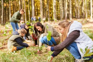 Pós-Graduação em EDUCAÇÃO AMBIENTAL E SUSTENTABILIDADE